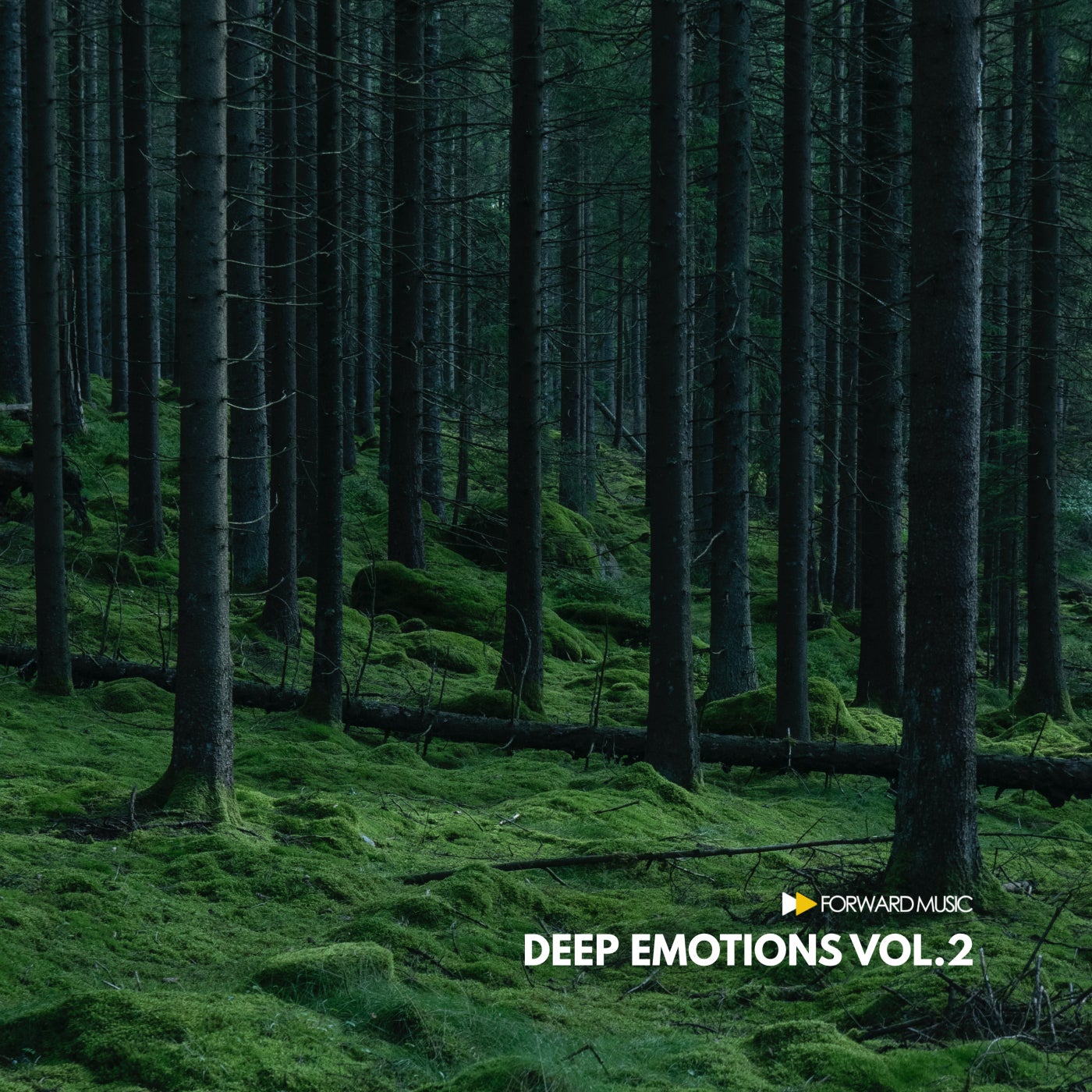 VA – Deep Emotions, Vol. 2 [FM046LP]